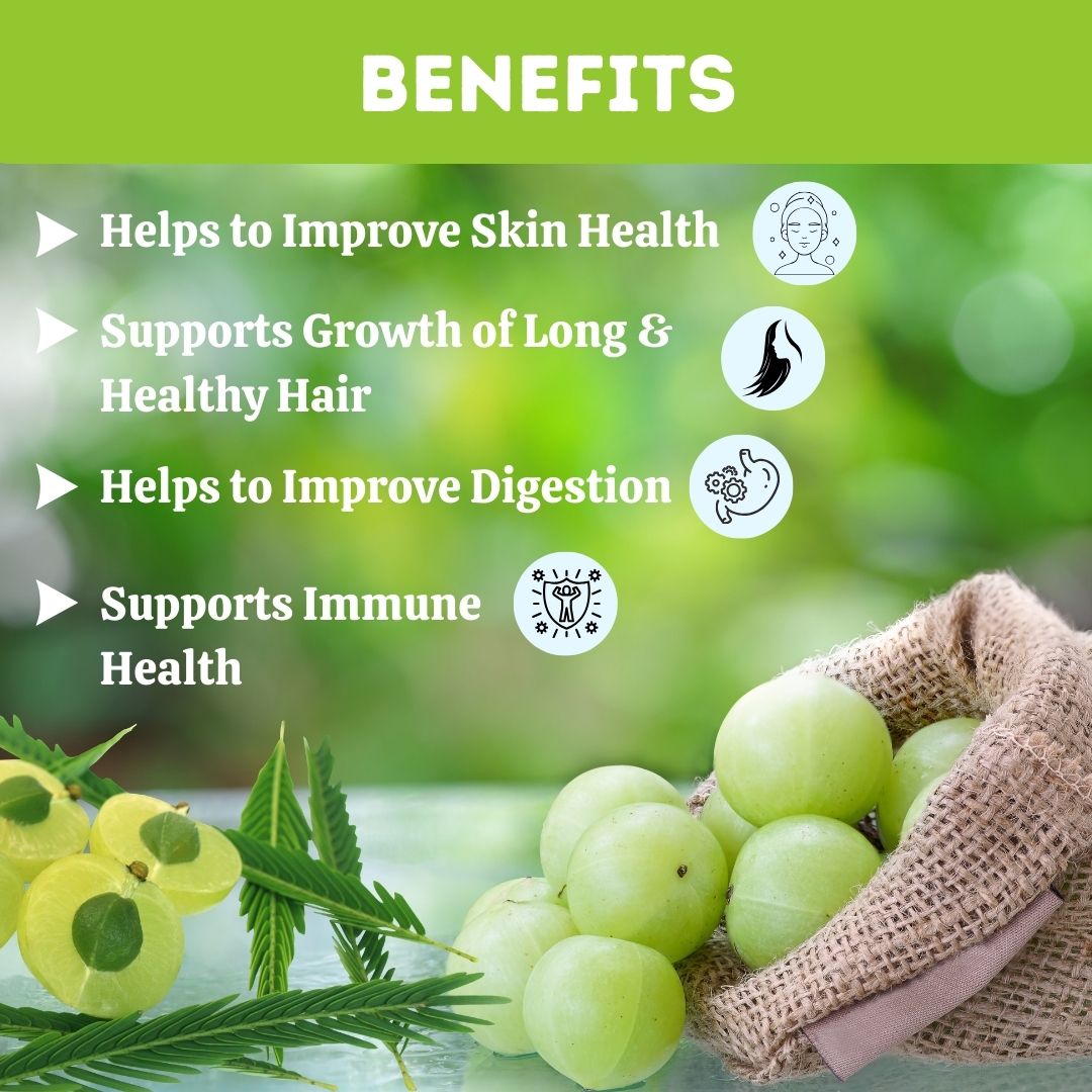 Herbal Hills Organic Amla Powder