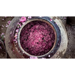 Thumbnail for Nawab's Secret Natural Rose Water - Dista
