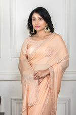 Thumbnail for Morchari Beige Chiffon Hand Embroidery Saree And Stitched Blouse