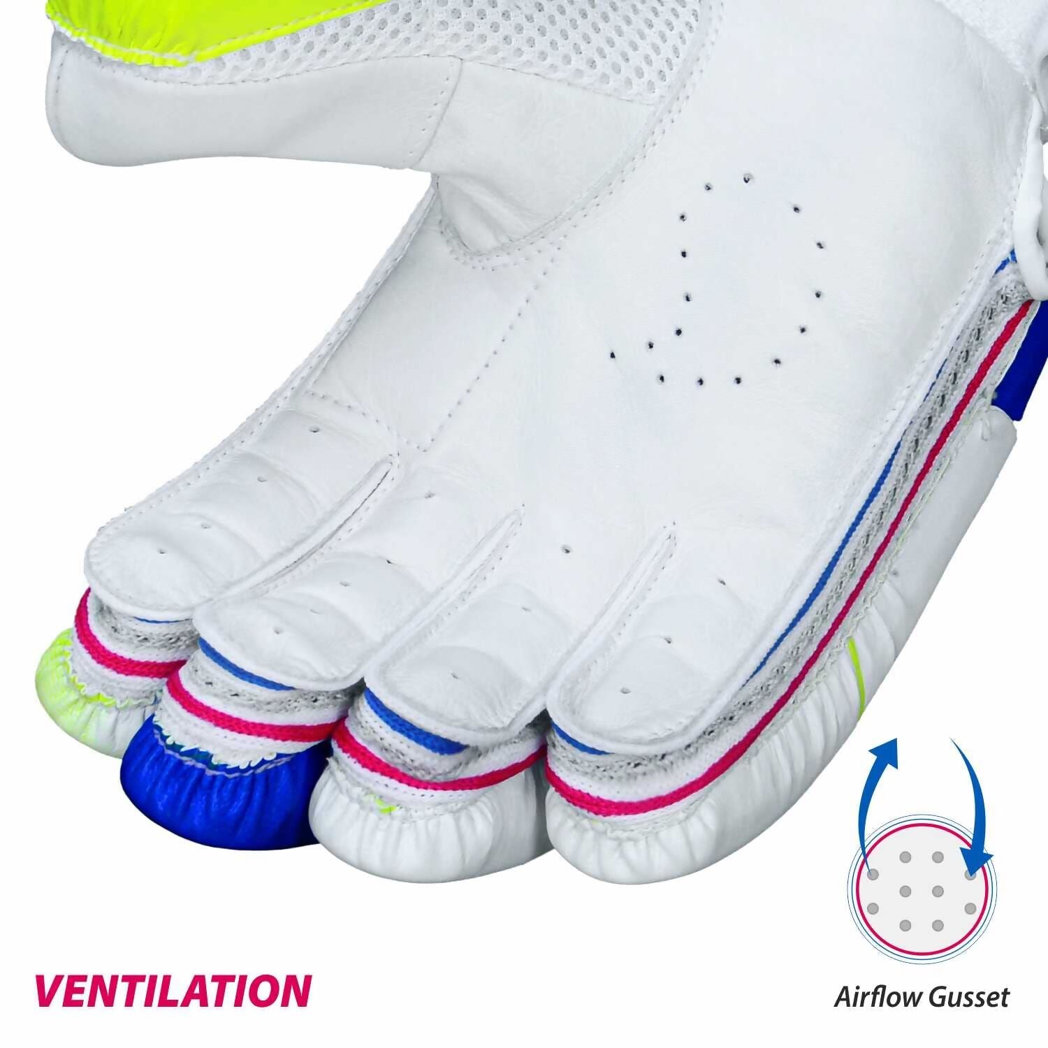 DSC Intense Attitude Men's Cricket Batting Gloves (Colour May Vary) - Distacart