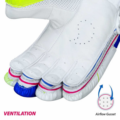 DSC Intense Attitude Men's Cricket Batting Gloves (Colour May Vary) - Distacart