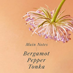 Thumbnail for La'dor Hinoki Perfumed Post Wash Korean Hair Oil Serum