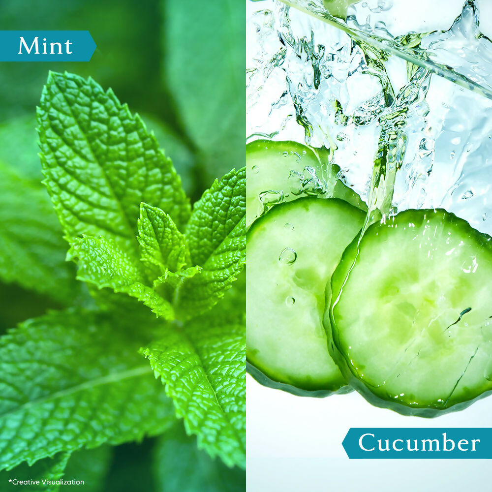 Vivel Cooling Body Wash Mint & Cucumber Moisturizing Shower Gel Supersaver Refill Pouch - Distacart