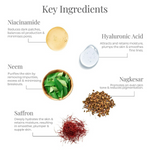 Thumbnail for Forest Essentials Delicate Facial Cleanser Kashmiri Saffron & Neem