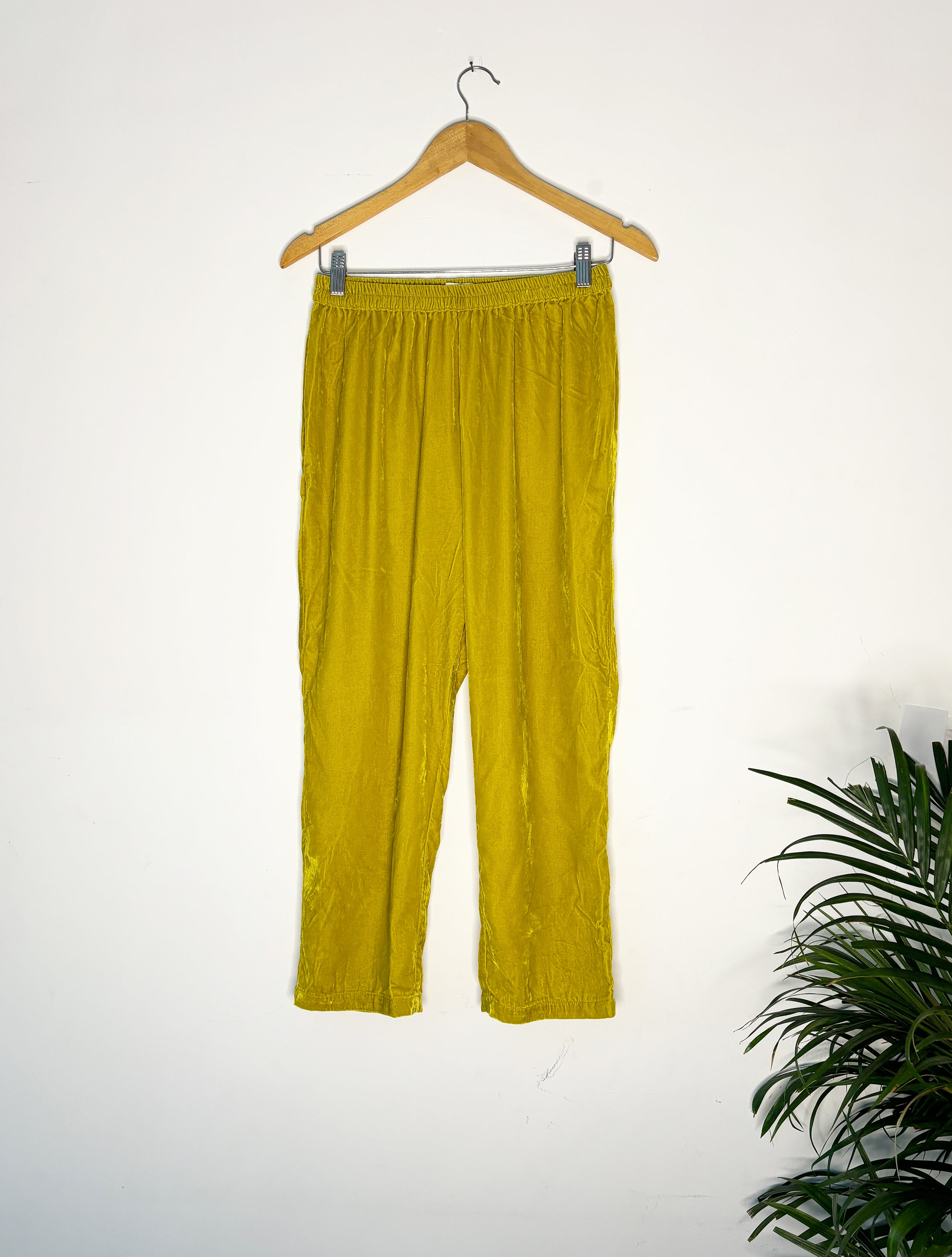 trueBrowns Lime Velvet Narrow Pant - Distacart