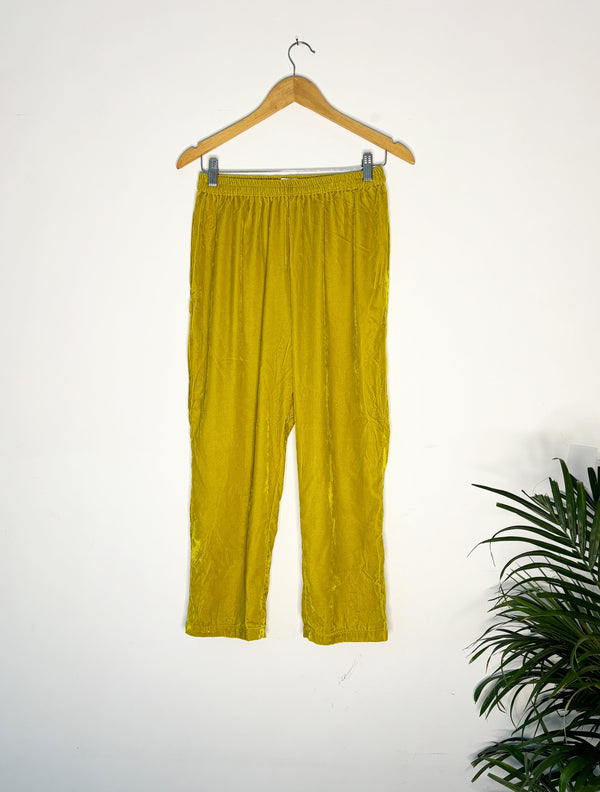 trueBrowns Lime Velvet Narrow Pant