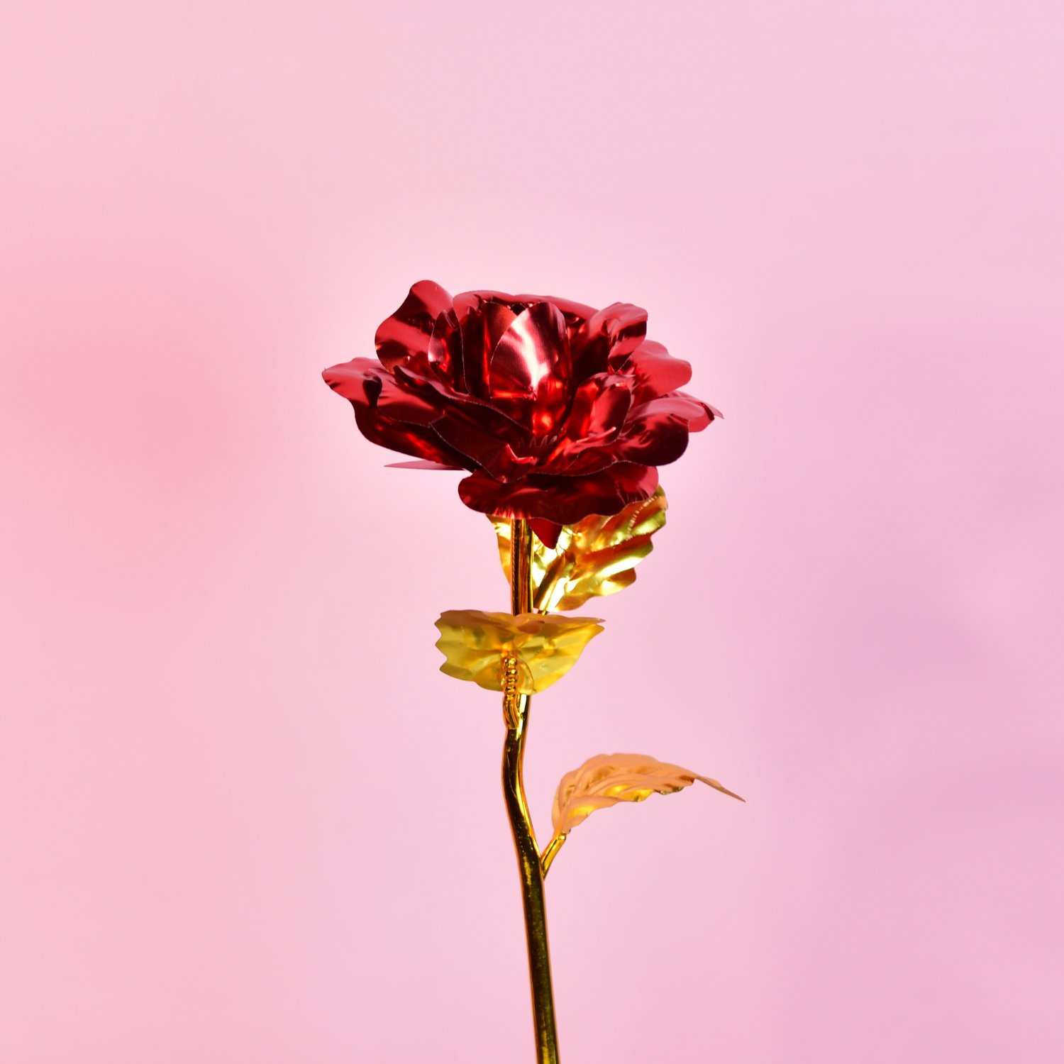 Sowpeace Scarlet Love