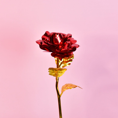 Sowpeace Scarlet Love - Distacart