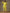 trueBrowns The Penelope - Lime Green Solid Textured Co-Ord Set - Distacart