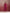 trueBrowns Magenta Cotton Kurta Co-ord set