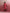 trueBrowns Red Modal Straight Fit Kurta Set - Distacart