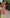 Noroke Sustainable fabric | Bemberg Asymmetrical Printed Long Dress - Distacart