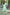Ahika Sea Green Pure Cotton Ethnic Motifs Kurta Set
