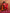 trueBrowns Red Print A-line Kurta Set - Distacart