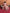 trueBrowns Pink Flared Anarkali Kurta Set - Distacart