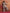 trueBrowns Off White Geometric Print Sharara Set - Distacart
