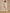 trueBrowns Green Buta On Off-White Block Print Cotton Co-Ord Set - Distacart