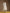 trueBrowns Ivory Gold Cotton Overlap Yoke Kurta Set - Distacart