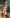 Noroke Cupro Muslin Gold Pink Beachwear Cover up Kaftan - Distacart