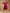 trueBrowns Rani Pink Velvet Embroidered Kurta - Distacart