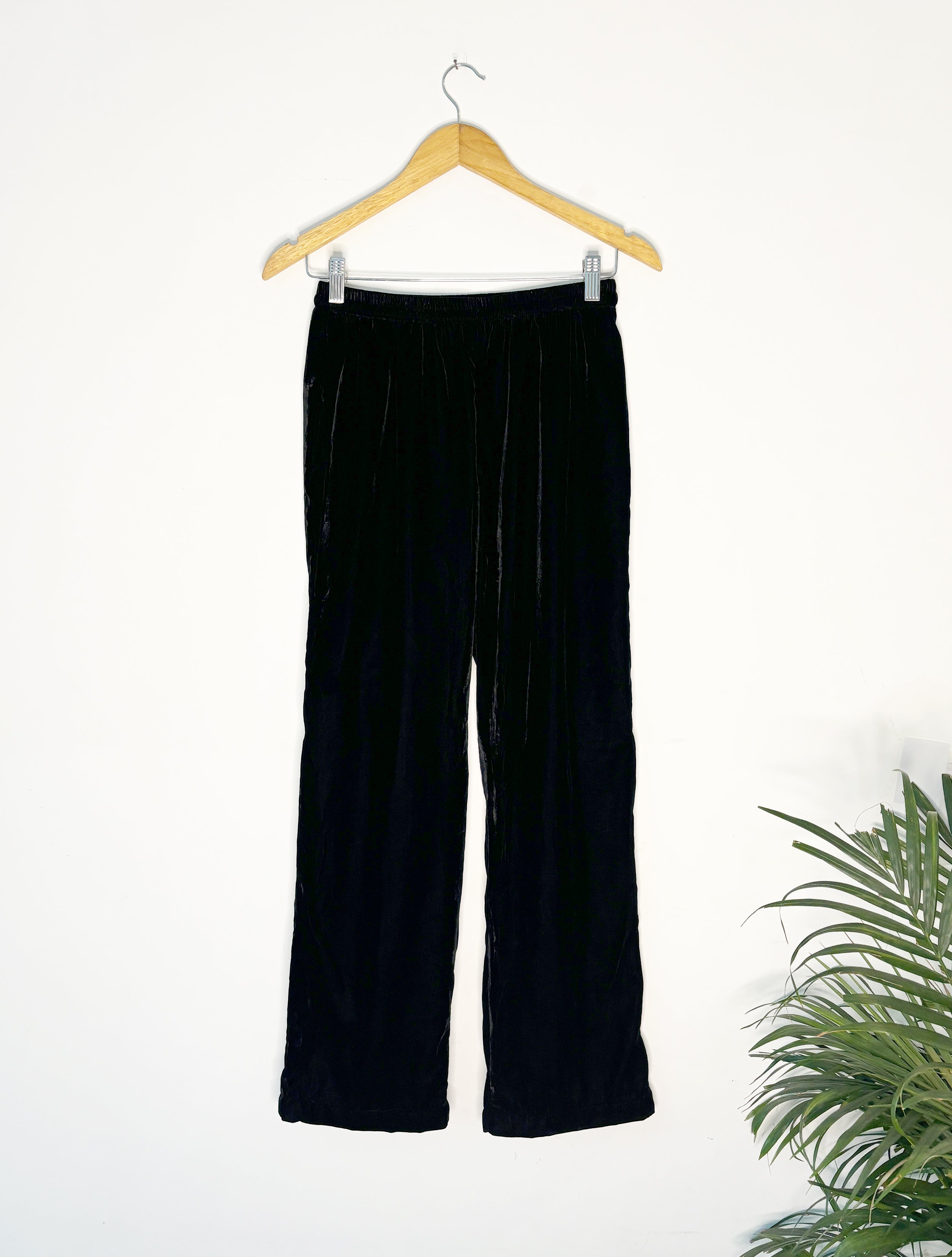trueBrowns Black Velvet Pant - Distacart