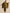 trueBrowns Olive Green Texture Doddy Kaftan Gathered Co-Ord Set - Distacart