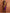 trueBrowns Purple Silk Ready To Wear Saree
