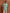 trueBrowns Men's Green Cotton Dobby Front Open Short Kurta