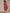trueBrowns Rust Red Bagru Camel Print Cotton High-Low Co-Ord Set - Distacart