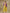 trueBrowns Lime Green Bandhani Printed Silk Top Pant with Purple Printed Jacket Set - Distacart