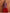 trueBrowns Pink Print Sharara Set - Distacart