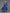 Ahalyaa Floral Print Midi Pure Cotton Ethnic Dress with Lace Inserts Detail - Distacart