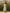 trueBrowns Green Cotton Dobby Embroidered Kurta Set