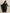 trueBrowns Green Velvet Floral Embroidered Kurta Pant Dupatta Set