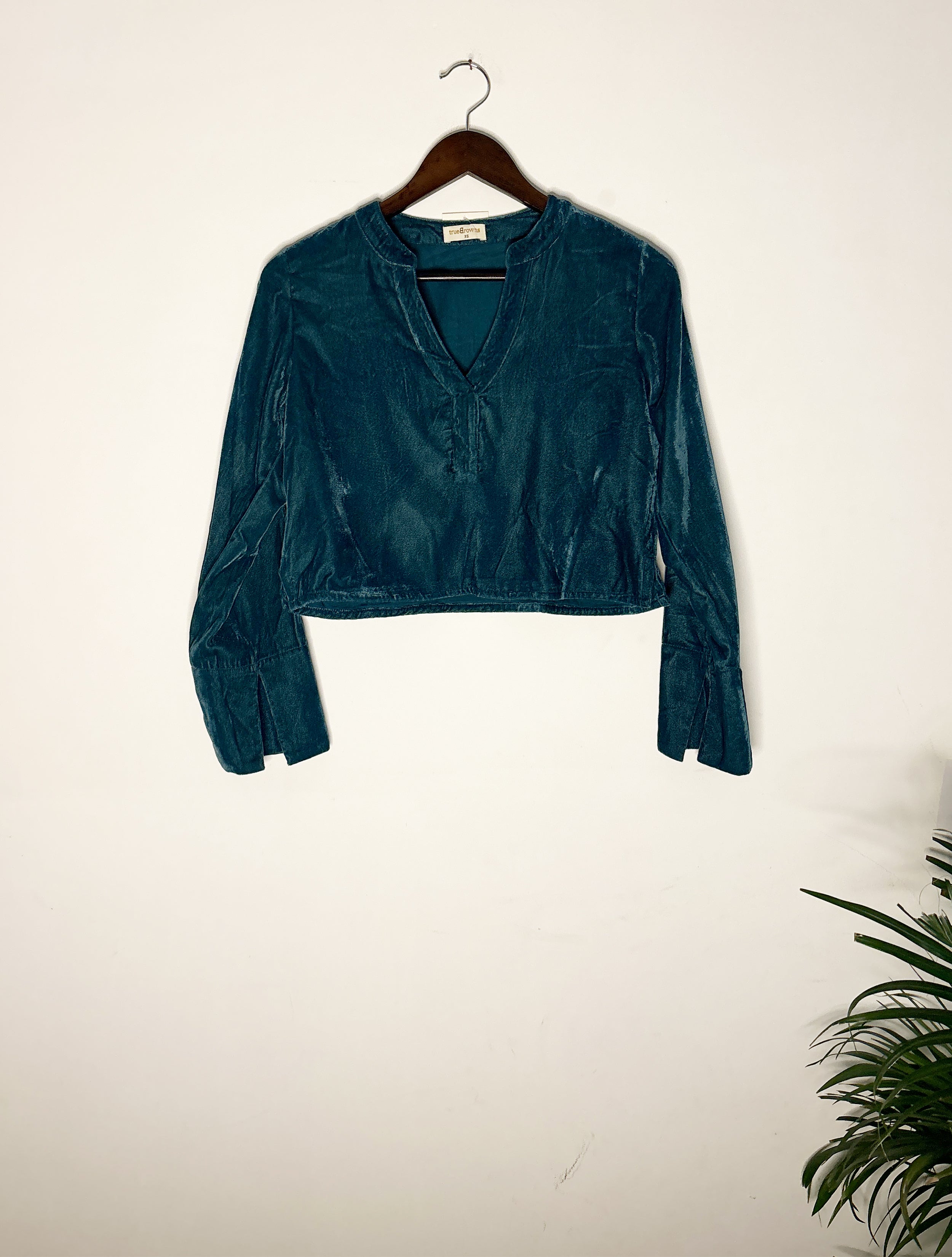 trueBrowns Blue Velvet Blouse - Distacart