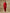 trueBrowns Maroon Textured Silk Front Placket Co-Ord Set - Distacart