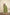 BulBul Preksha Green & Pink Embroidered Roman Silk Salwar Suit