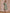 trueBrowns Fern Green Overall Floral Block Print Cotton Square Neck Dress - Distacart