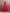 trueBrowns Modal Pink Dress - Distacart