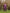trueBrowns Purple Viscose Dobby Relaxed Co-ord Set
