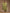 trueBrowns Light Green Modal Satin Kaftan Kurta Set | Relove