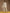 trueBrowns Ivory Gold Cotton Flared Co-Ord Set - Distacart
