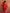 trueBrowns Red Print Angrakha Co-ord Set