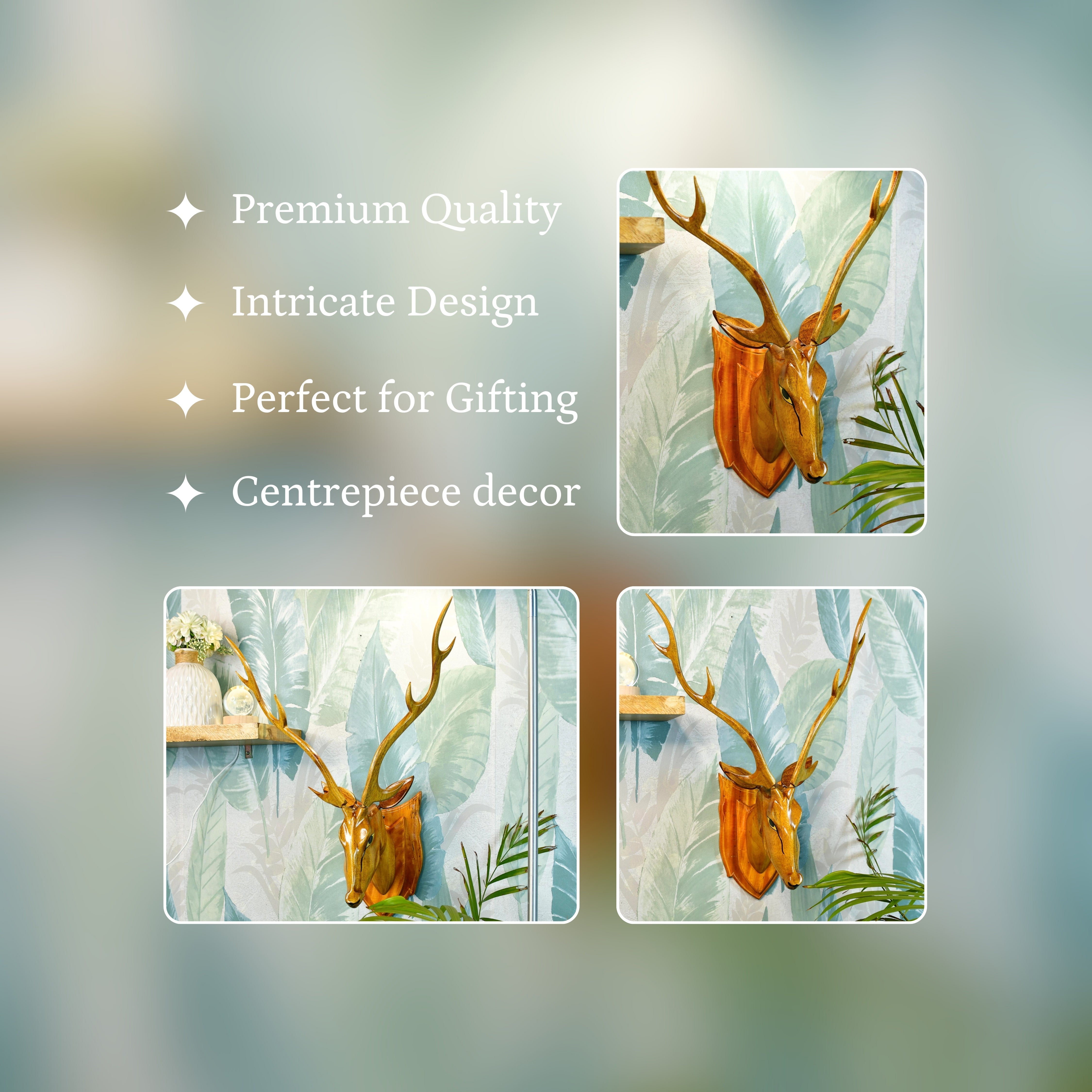 Sowpeace The Big wise head