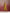 trueBrowns Mustard Cotton Kurta Set - Distacart