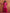 trueBrowns Red Print Sharara Set - Distacart