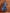 trueBrowns Blue Metallic Flared Anarkali Kurta Set