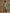 trueBrowns Light Green Bandhani Printed Silk Co-Ord Set - Distacart