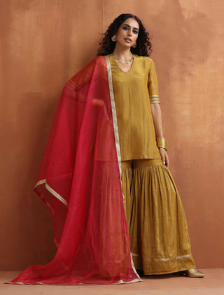 trueBrowns Gold Tissue Sharara Dupatta Set - Distacart