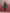 trueBrowns Green Straight Kurta Co-ord Set